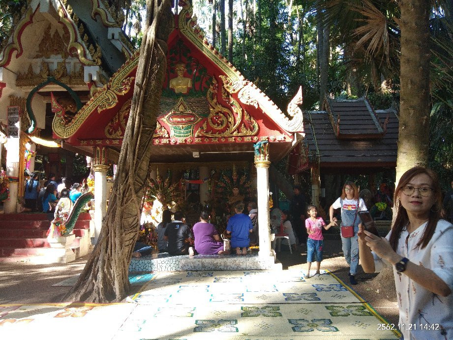 Kham Chanod Forest景点图片