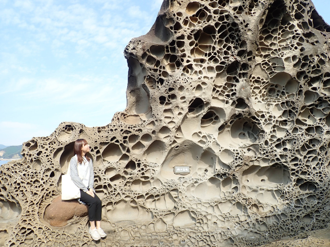 Tatsukushi Pleasure Boat-土佐清水市必去景点
