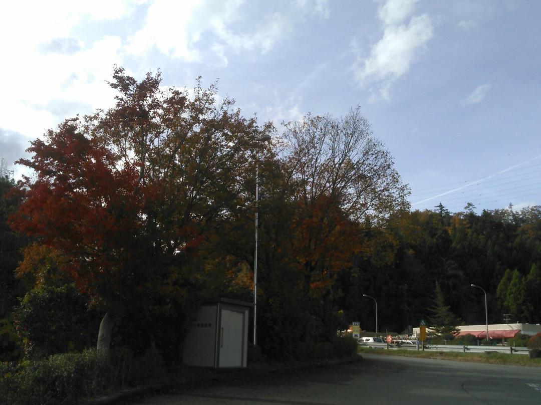 Hatsukari Parking Area Outbound景点图片