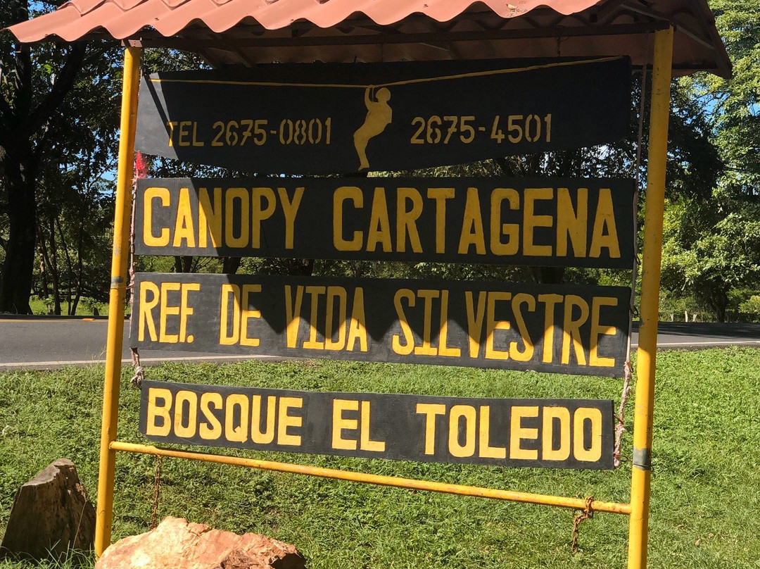 Cartagena Canopy Tour景点图片