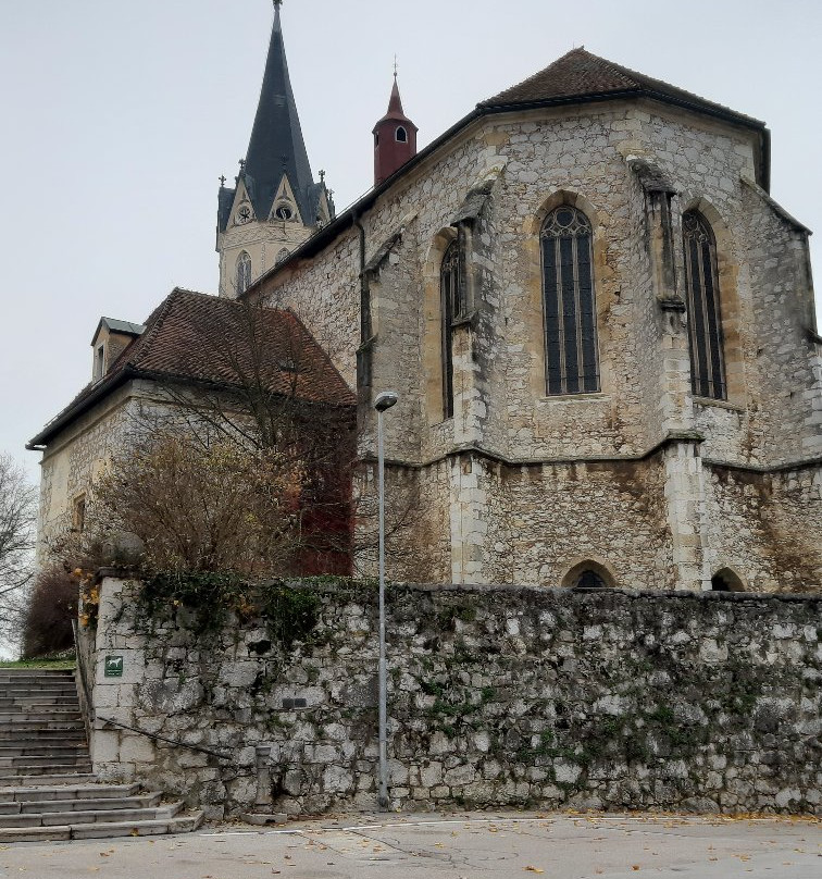 Novo Mesto Cathedral景点图片