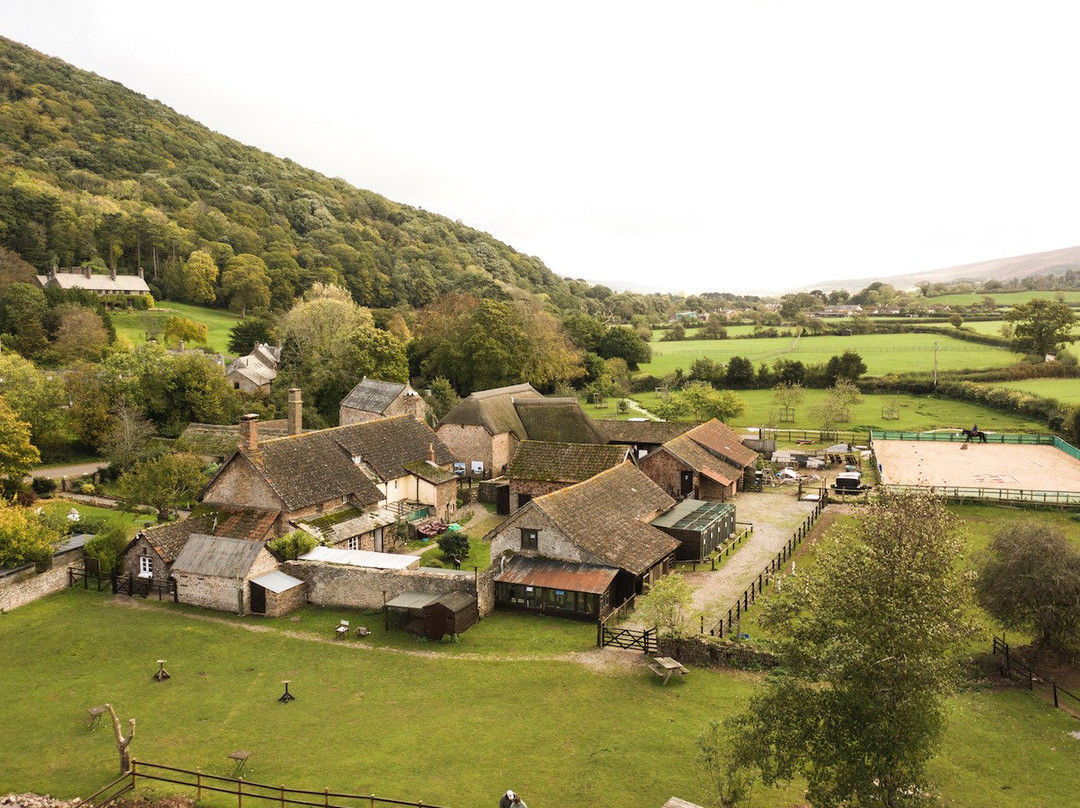 Exmoor Experience景点图片