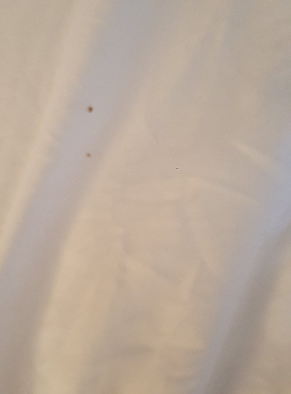 Quality Inn & Suites Casper主图