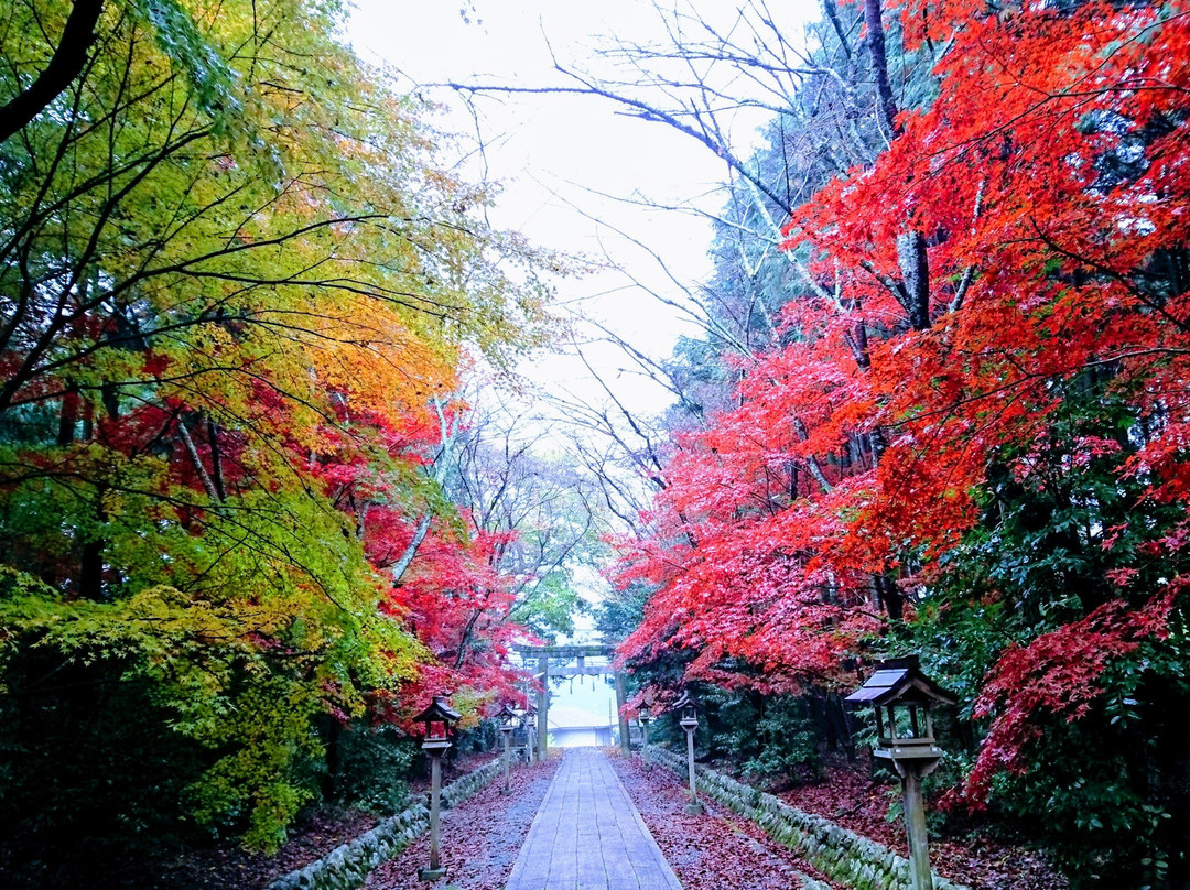 Higaimoto Hachiman Shrine景点图片