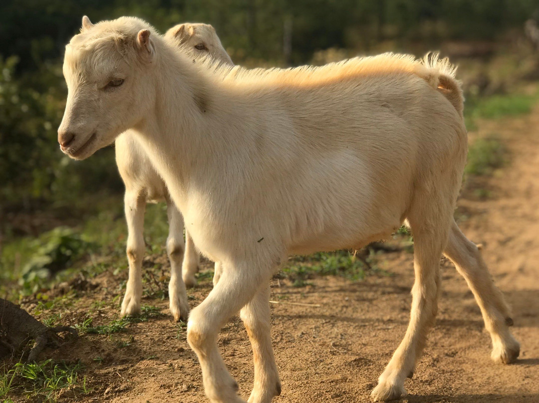 The Vinales Experience, Cuba-维纳勒斯必去景点