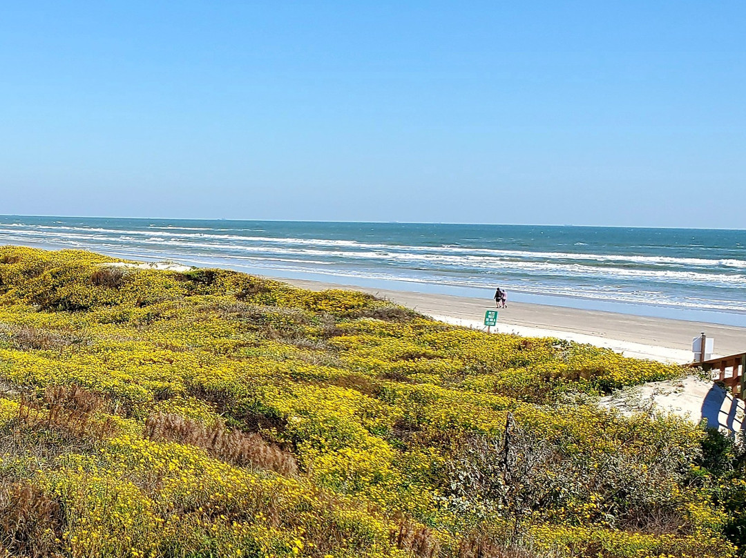 Beach Loop-科珀斯克里斯蒂市必去景点