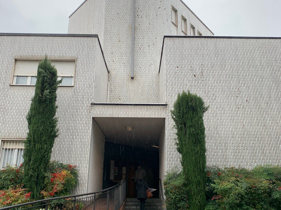 Parrocchia di San Carlo景点图片