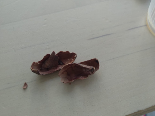 Taino Gourmet And Oliver Lab-蓬塔卡纳必去景点