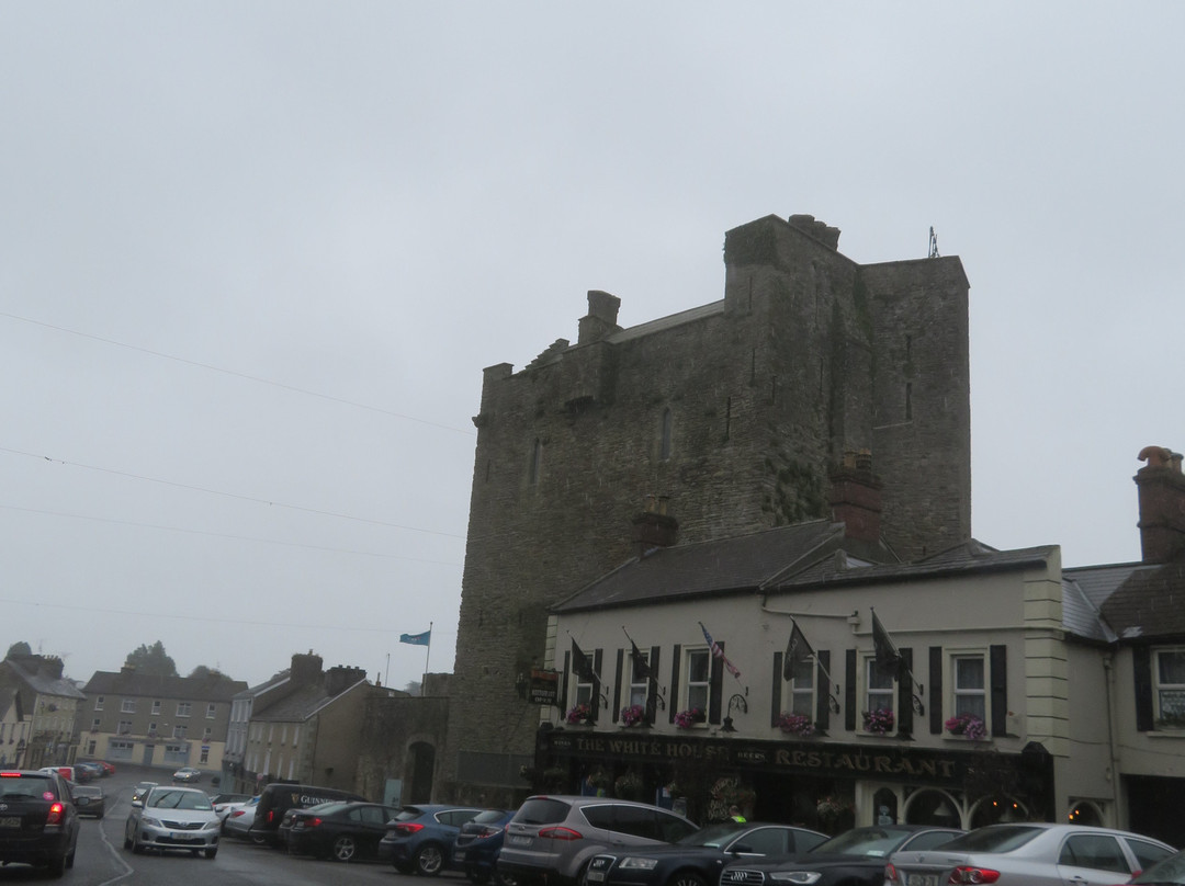 Roscrea Castle-Roscrea必去景点