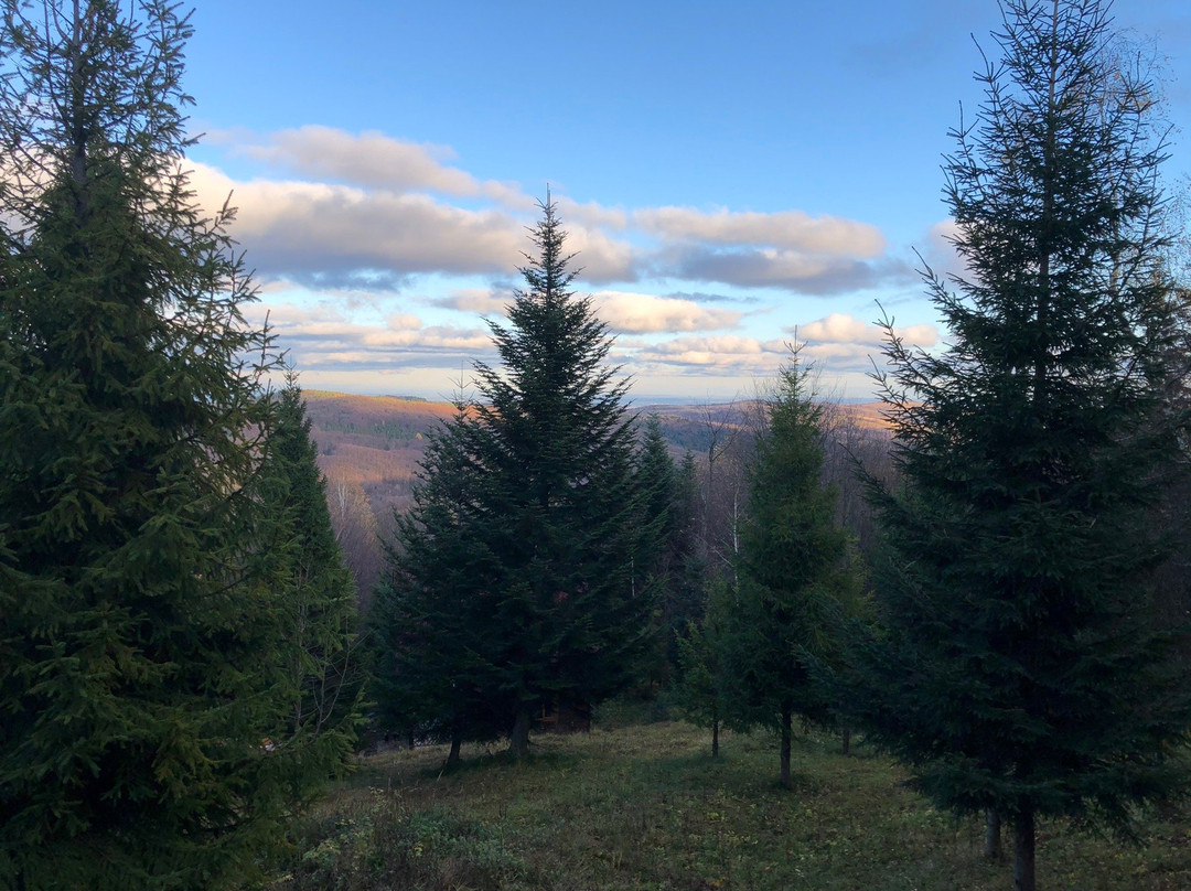 Carpathian Meadows (Karpats'ki Polonyny) Hotel主图