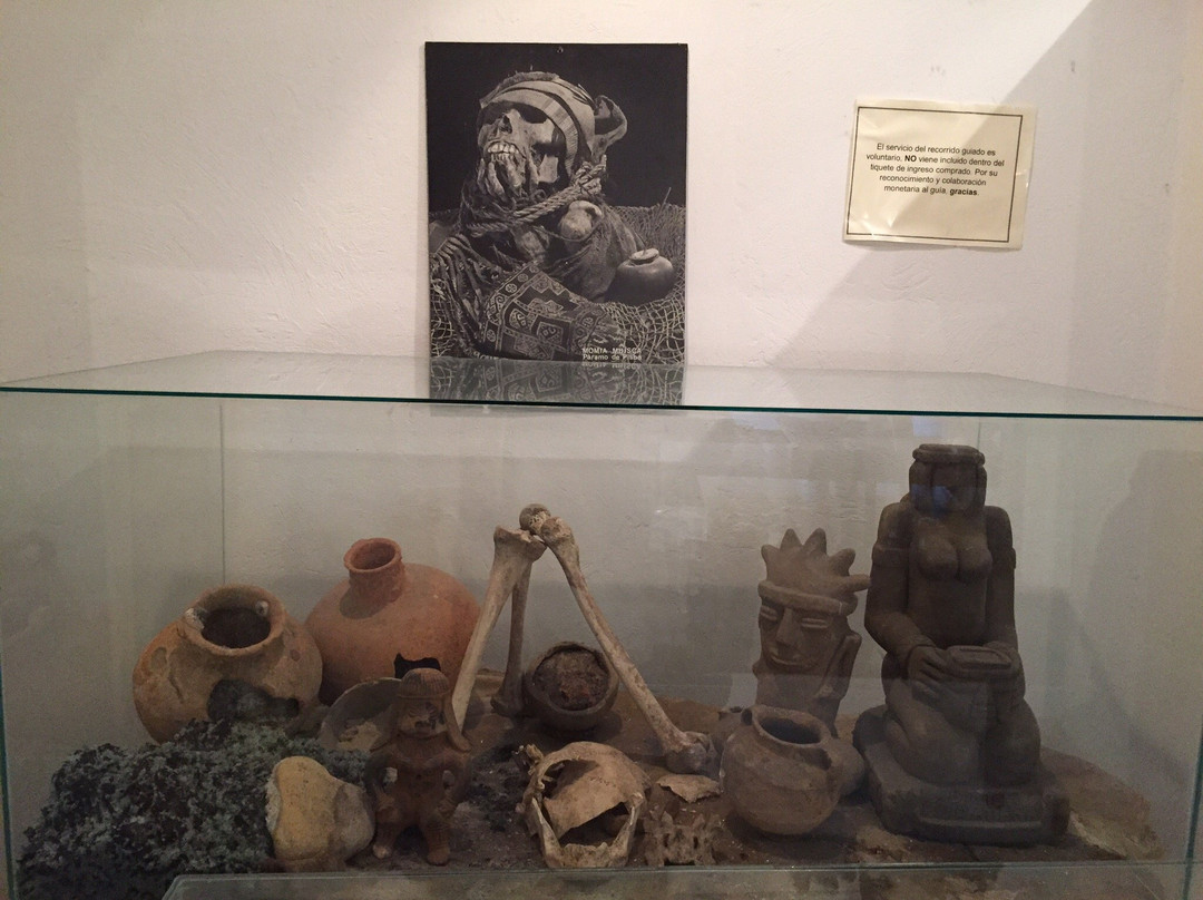 Museo Indigena Guatavita景点图片