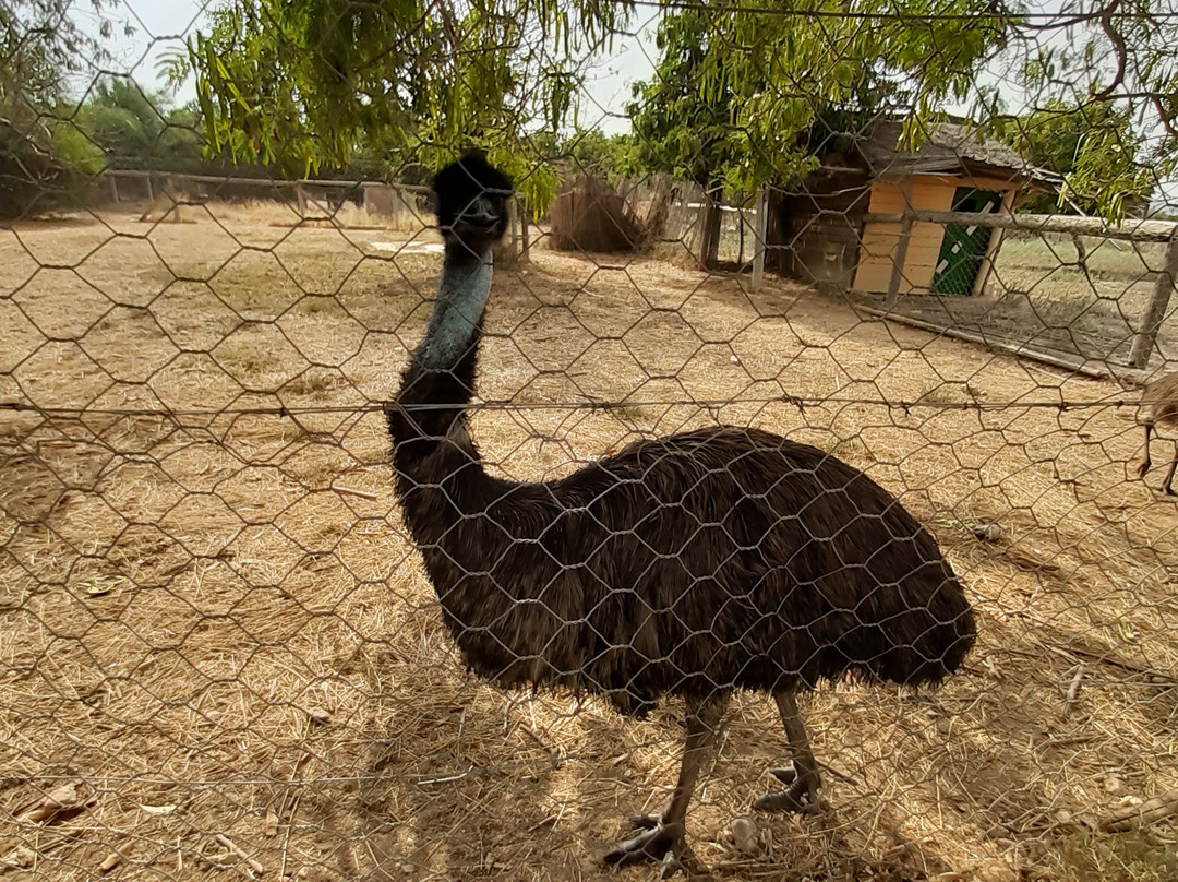 Friguia Park-哈玛麦德必去景点