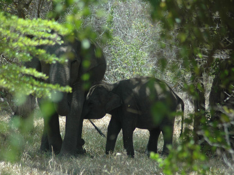 Traveller Tours-蒂瑟默哈拉默必去景点