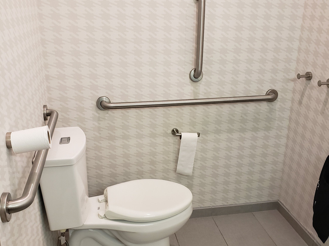 Home2 Suites by Hilton Tampa USF Near Busch Gardens主图