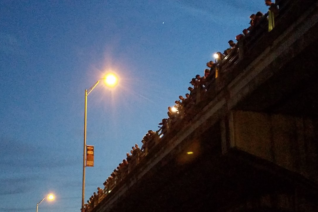 Congress Avenue Bridge Bat Watching景点图片