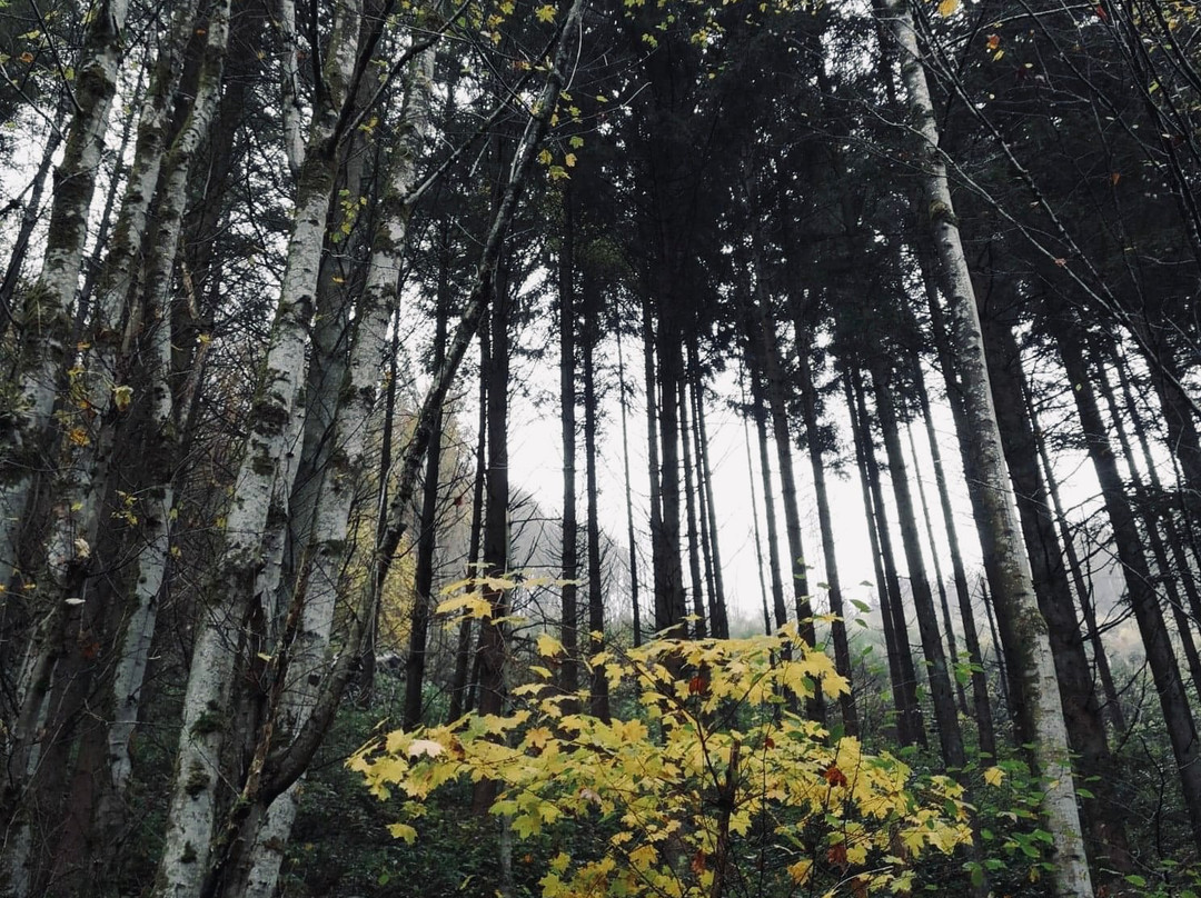 Hotel Gai-Sejour主图