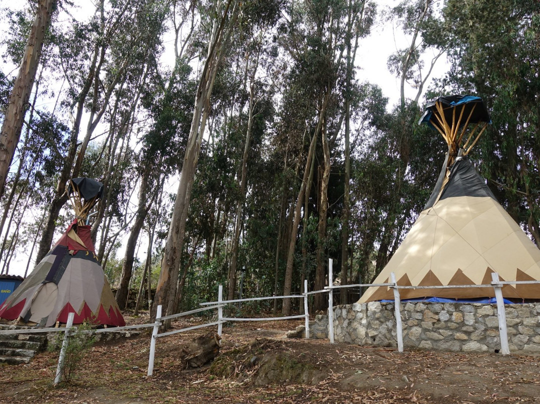 The Lazy Dog Inn a Mountain Lodge主图