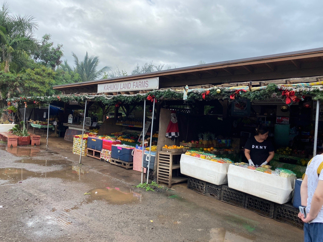 Island and You-火奴鲁鲁必去景点