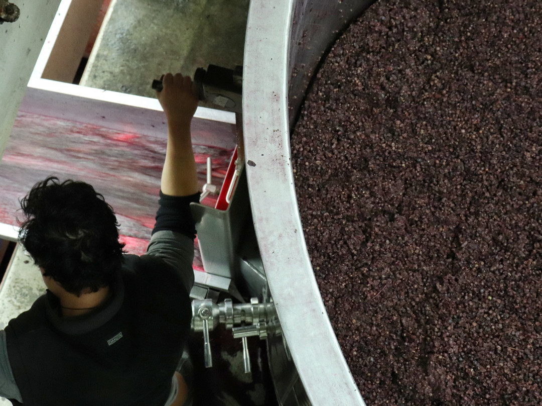 Malivoire Wine Company景点图片