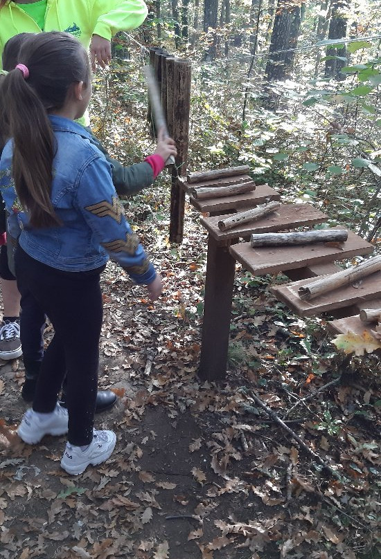 Carpegna Park - Family Adventure Mountain景点图片