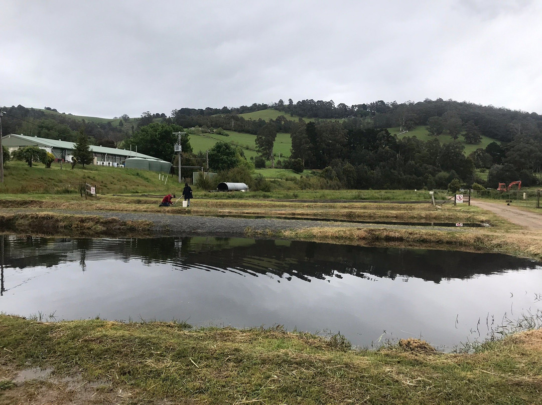 Alpine Trout Farm-Noojee必去景点