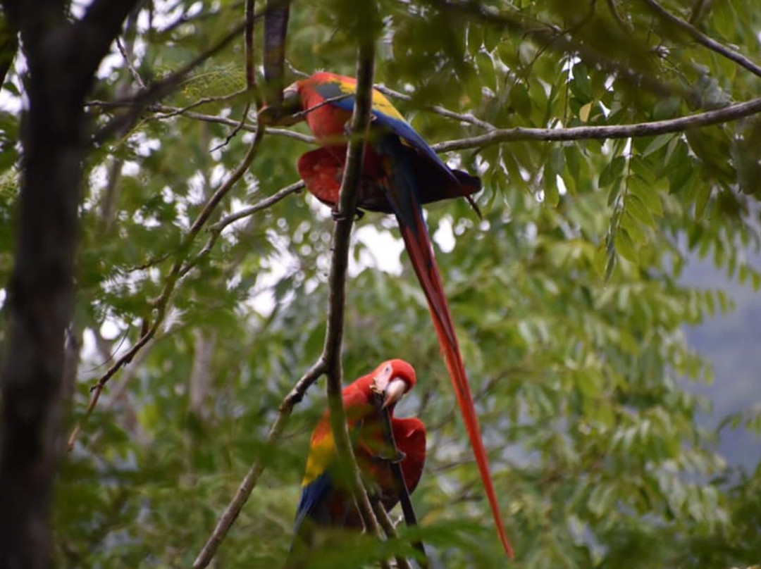 Fidelito Ranch & Lodge主图