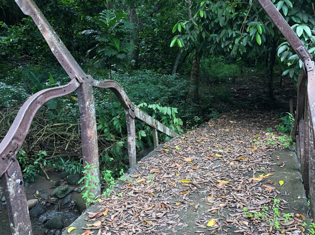 Black Bay Beach-格林纳达必去景点