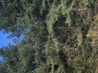 Beacon Country Park-Skelmersdale必去景点