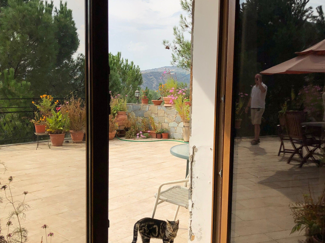 Antoniades Winery-Mandria必去景点