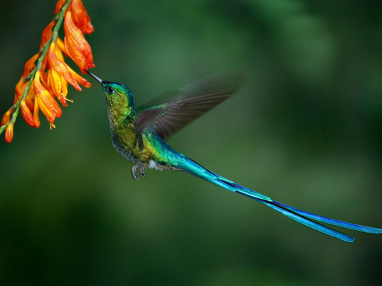 Diplomat Travel-波哥大必去景点