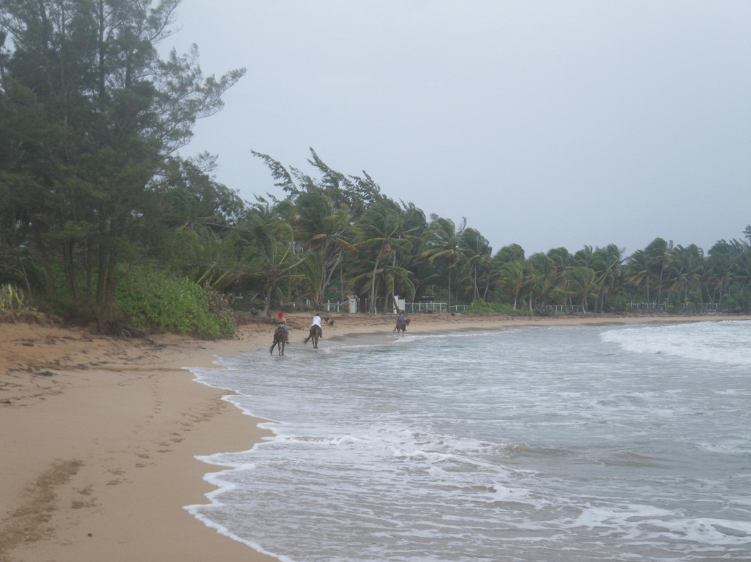 Catch a Dream Ranch-Rio Grande必去景点