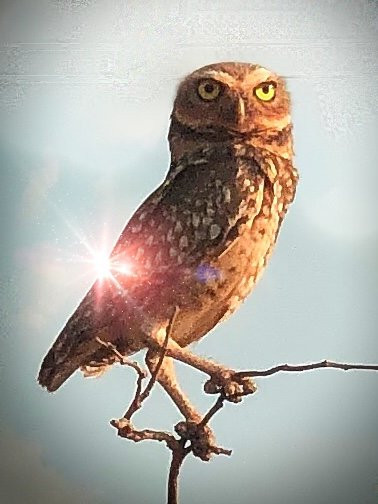 Hotel Araguaia主图