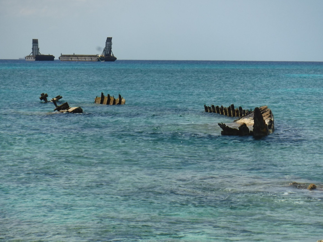 Pallas Wreck Reef景点图片