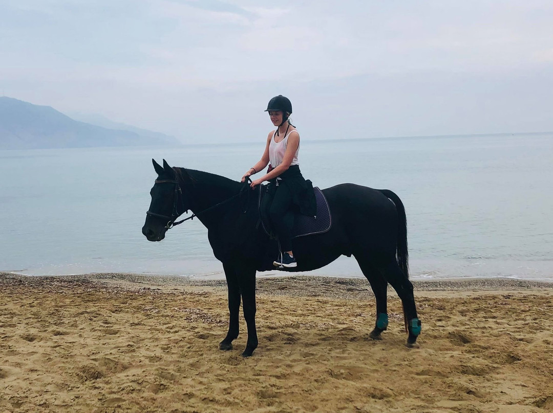 Zoraida's Horse Riding景点图片