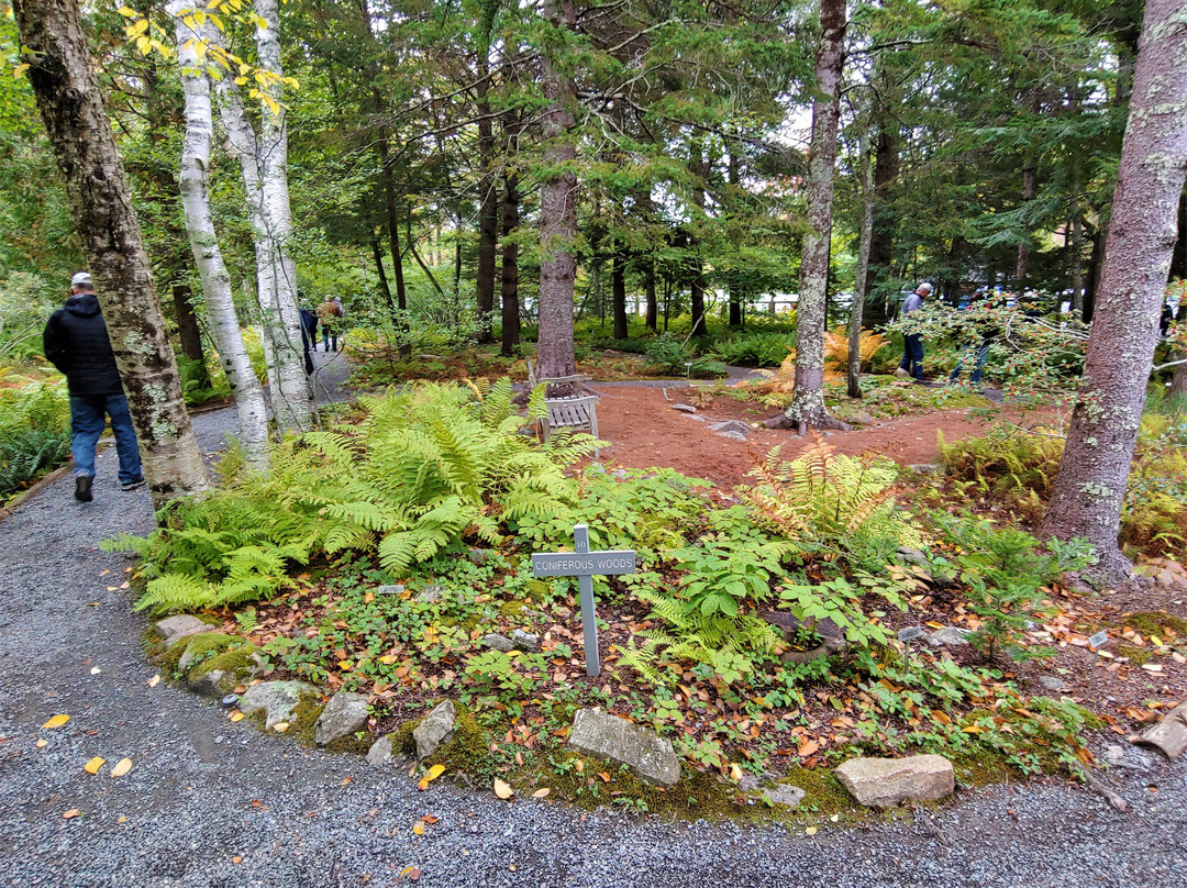 Wild Gardens of Acadia景点图片