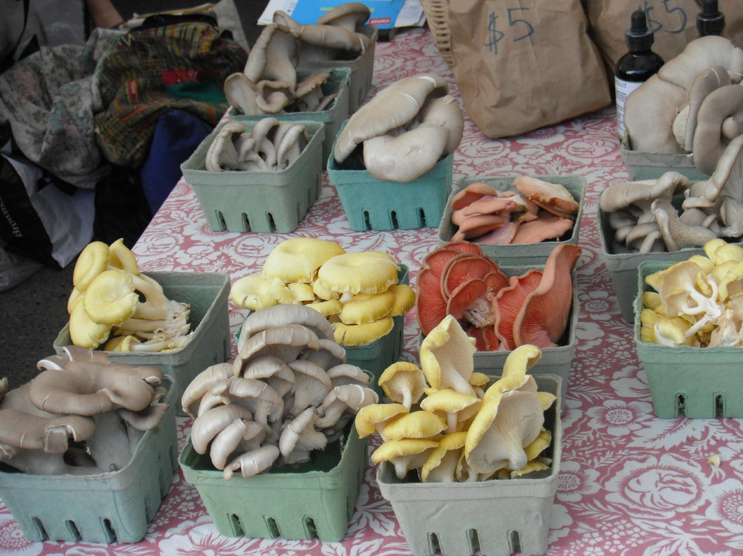 Salt Spring Island's  Saturday Market景点图片