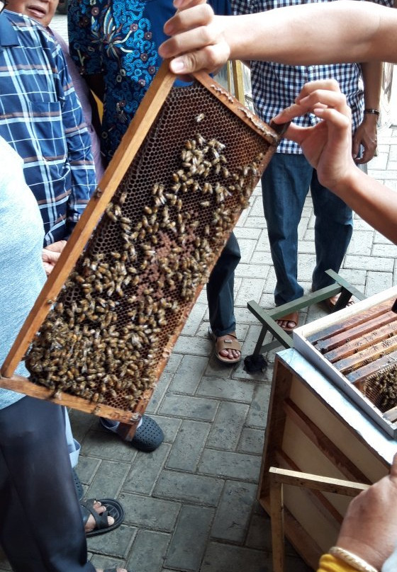 Agro Tawon Wisata Petik Madu-Lawang必去景点