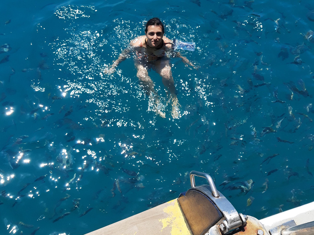 Ilha Comprida-帕拉地必去景点