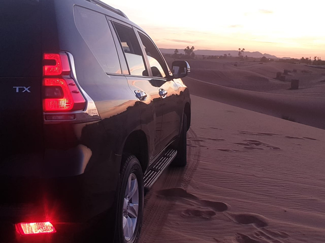 Camel Ride Trips-非斯必去景点