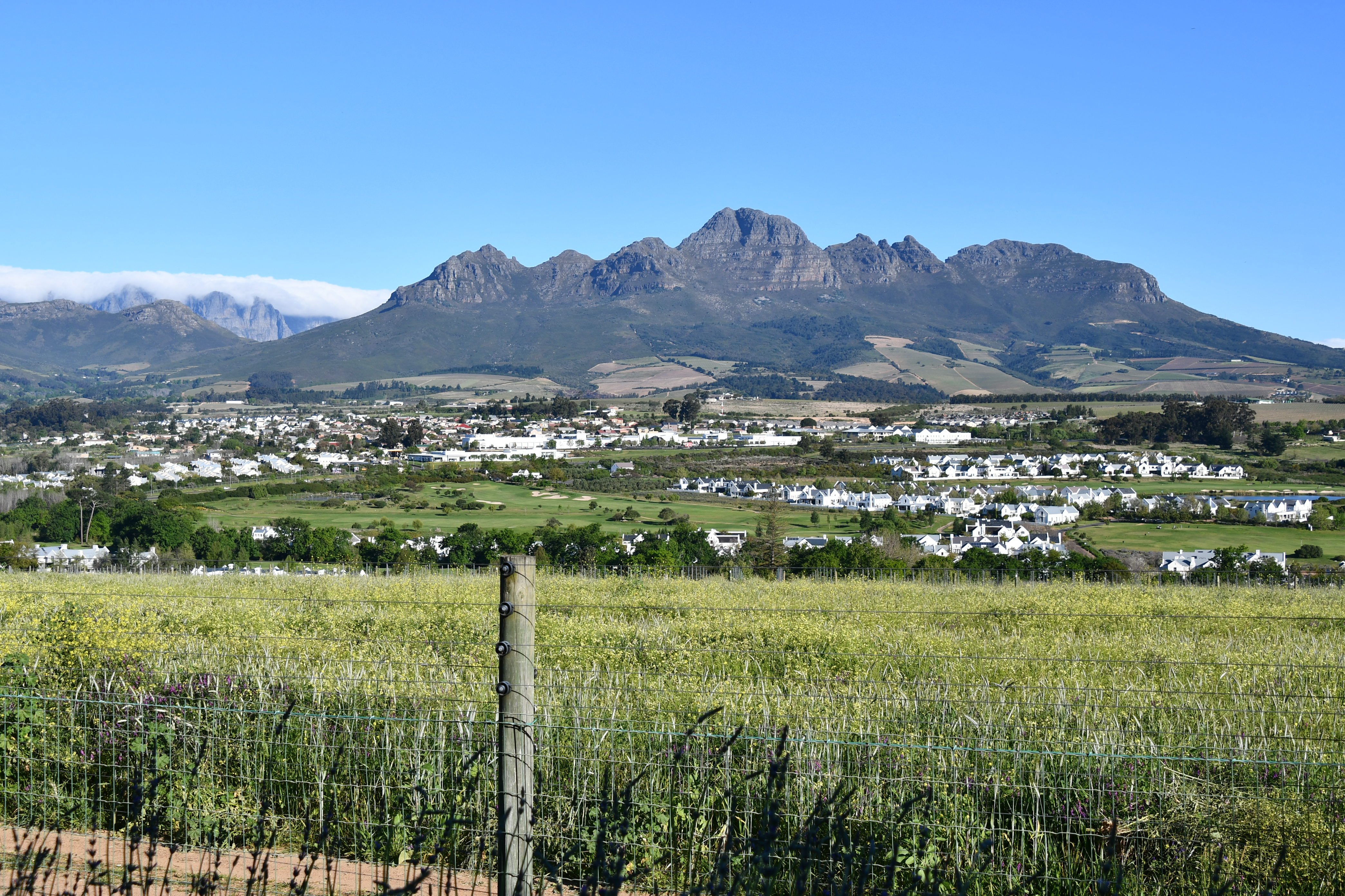 斯泰伦博斯普罗蒂亚酒店-酒店景观