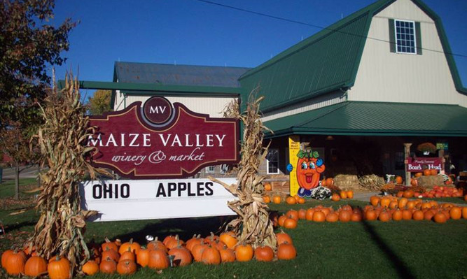 Maize Valley Market & Winery景点图片