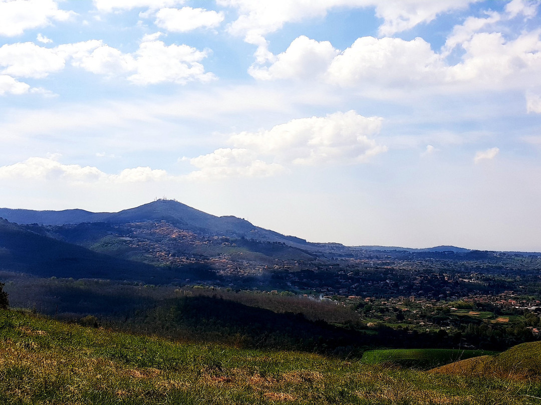 Monte Tuscolo景点图片