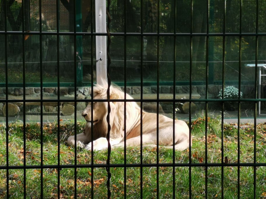 Zoo Eberswalde-Eberswalde必去景点