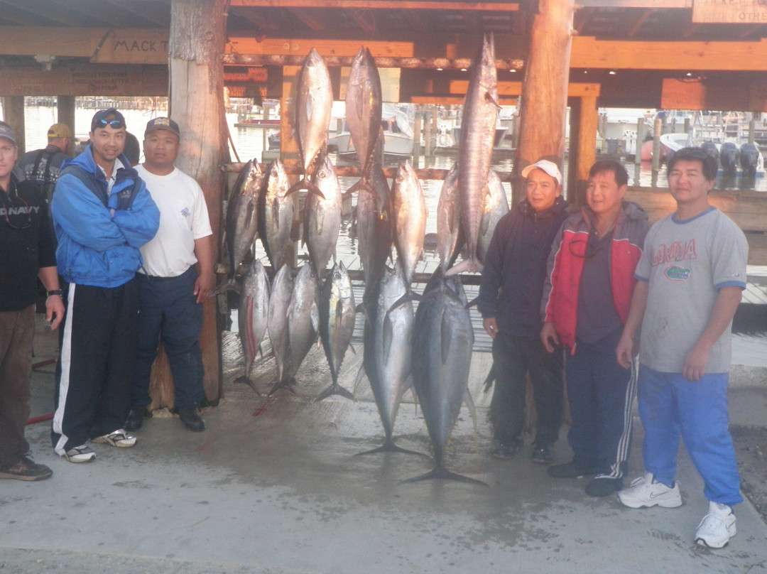 Paradise Outfitters-Venice必去景点