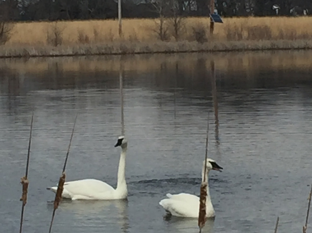 奥科博吉旅游景点-Kenue Park