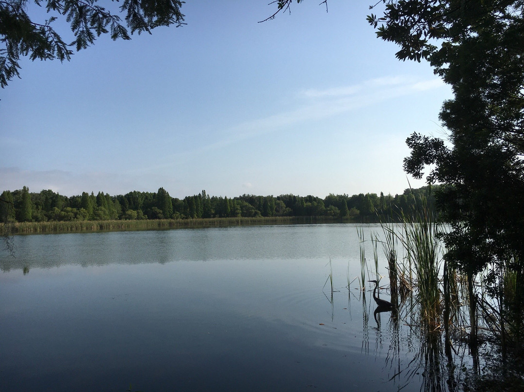 Balm旅游景点-Alafia River State Park