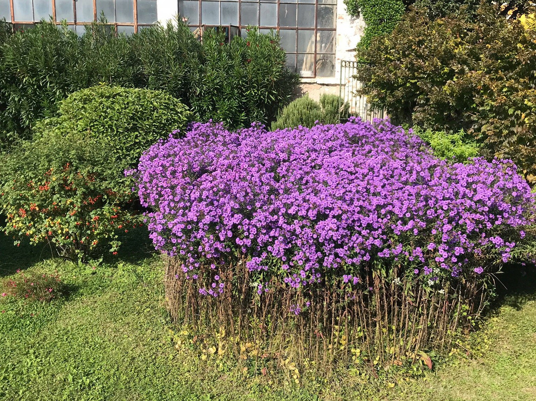 Villa Serego Alighieri景点图片