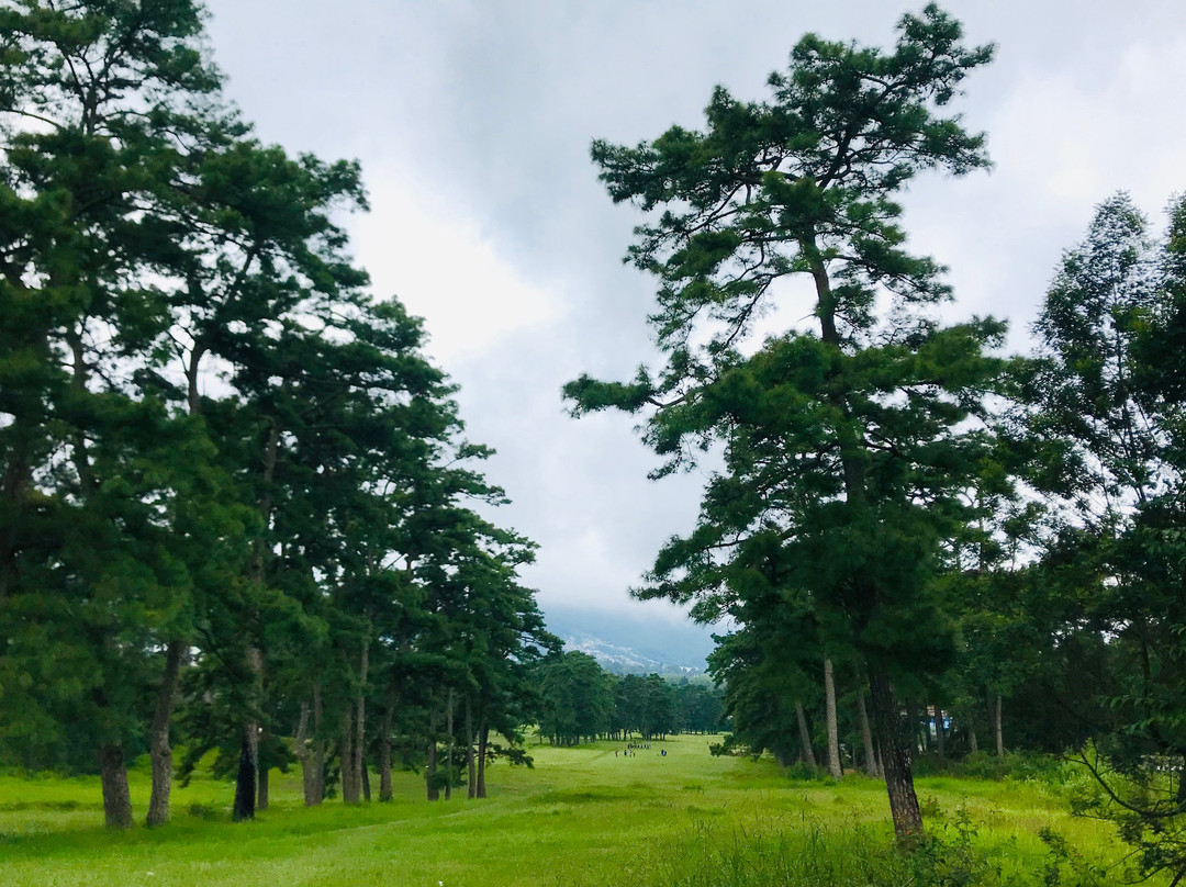 Golf Links景点图片