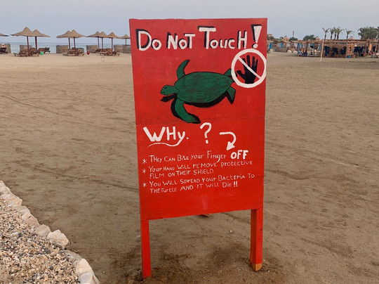 Habibi Viaggi-马萨阿拉姆必去景点