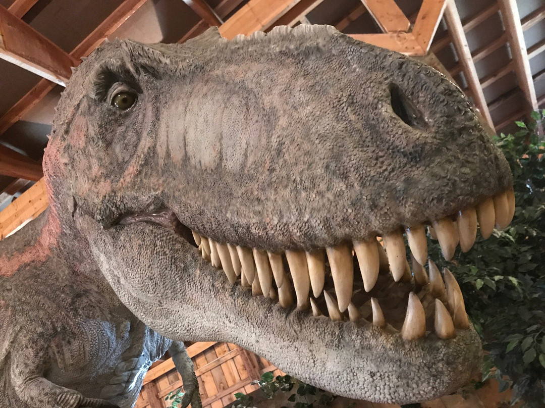 Dinosaur Museum景点图片
